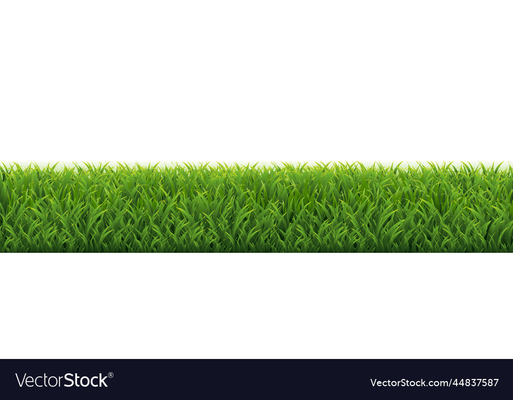 Grass border with white background Royalty Free Vector Image