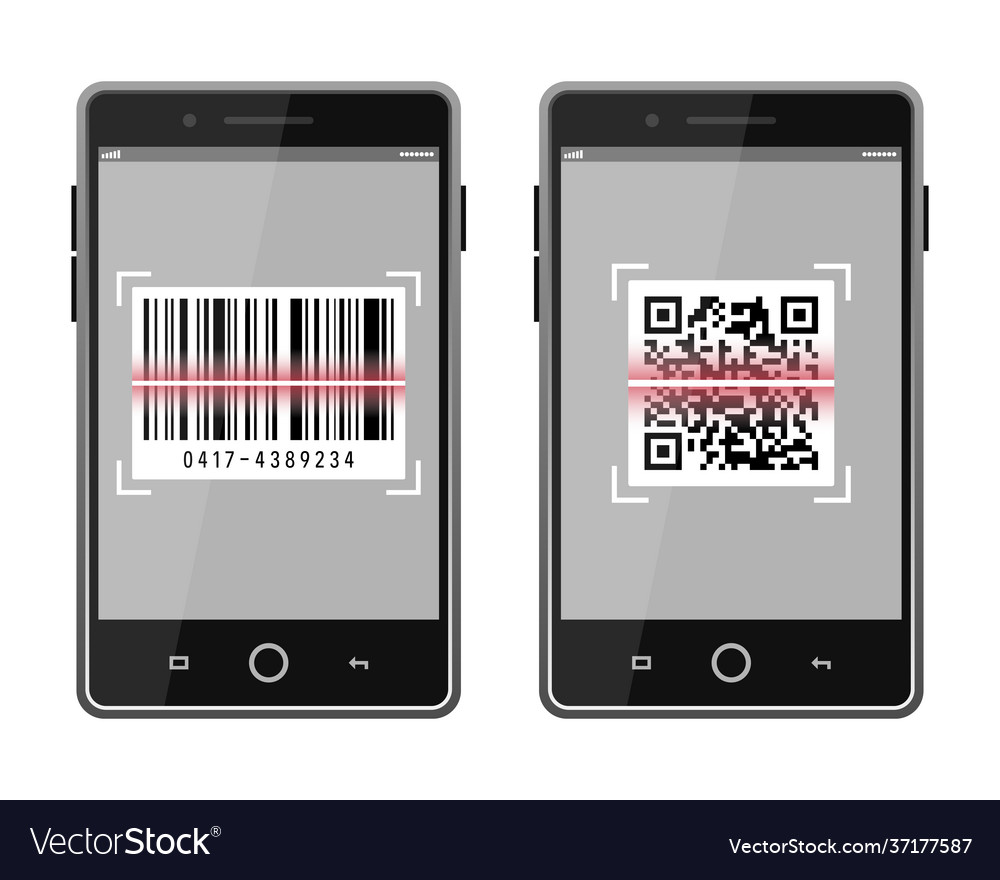 Scan qr code and barcode to smartphone vector image Scan qr code and barcode to smartphone