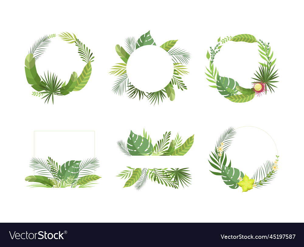 Shaped frame with green tropical leaves and jungle