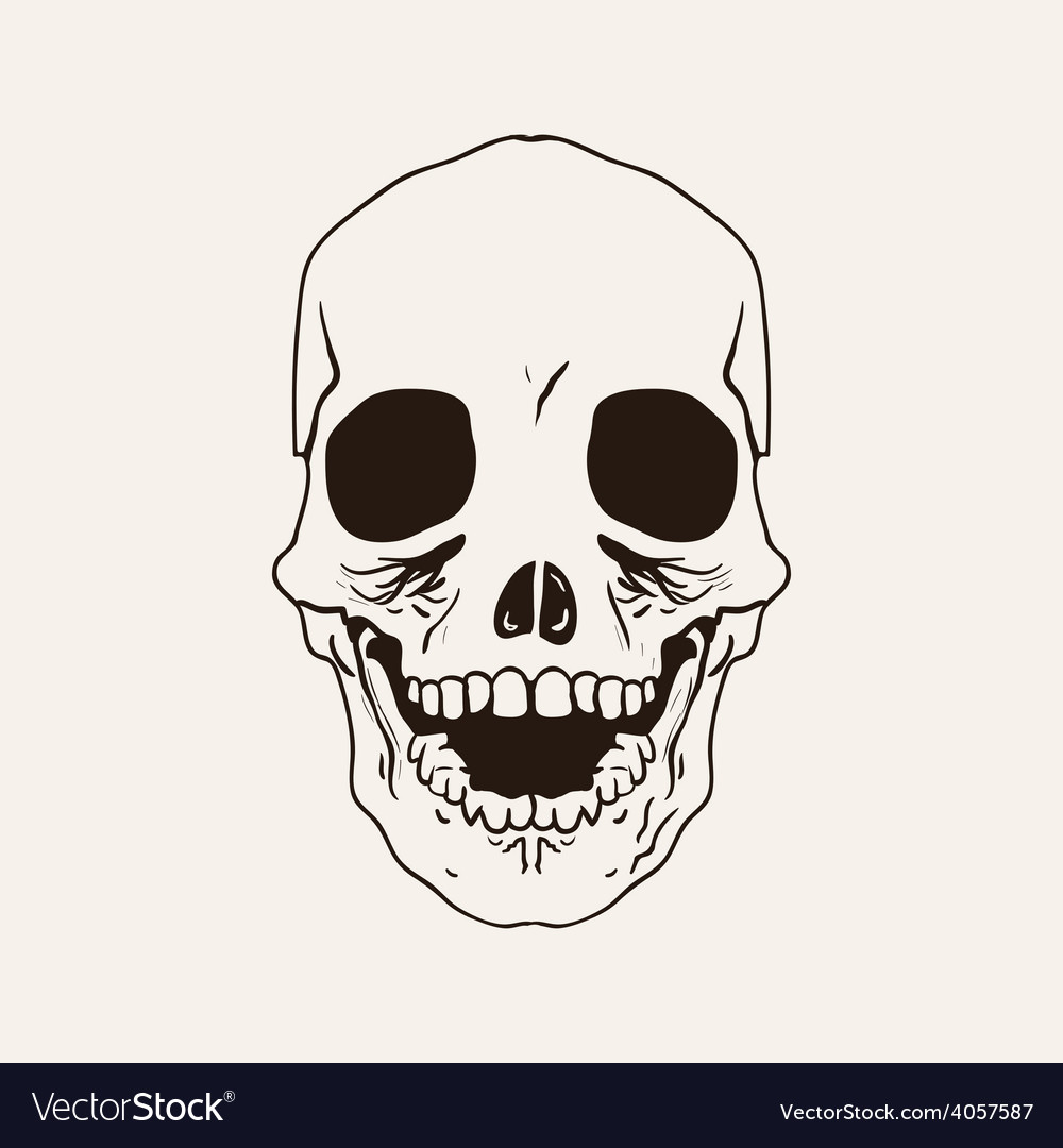 Sketch bones head Royalty Free Vector Image - VectorStock