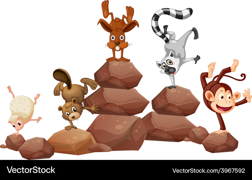 Animals and rocks Royalty Free Vector Image - VectorStock