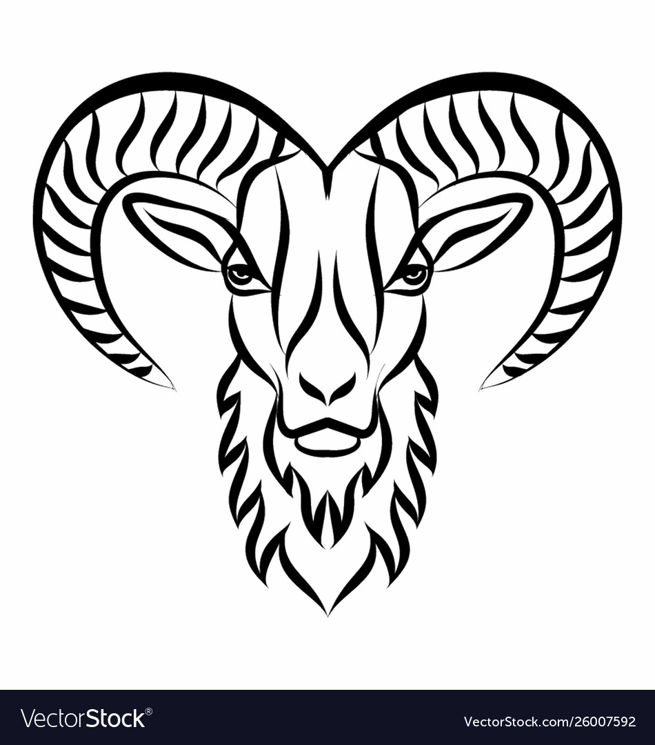 Bighorn sheep head Royalty Free Vector Image - VectorStock