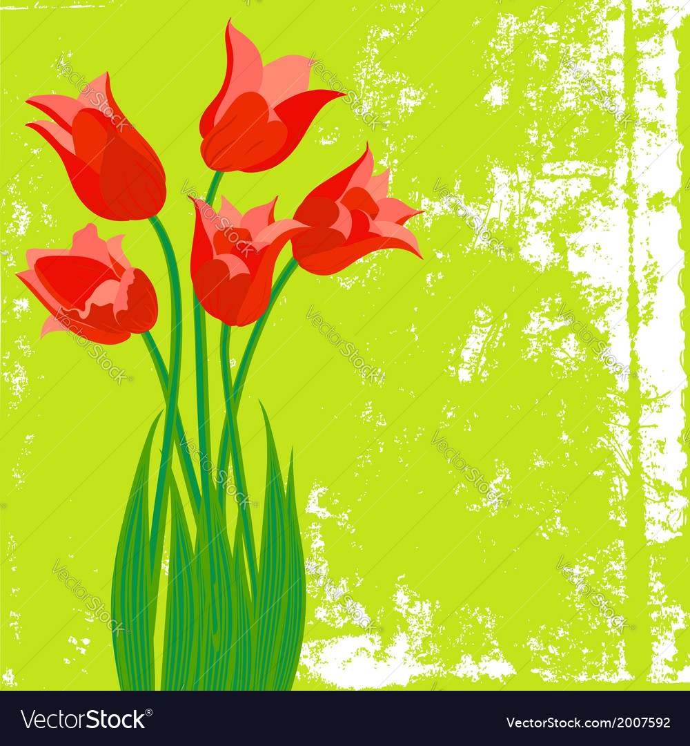 Card with red tulips on textured background