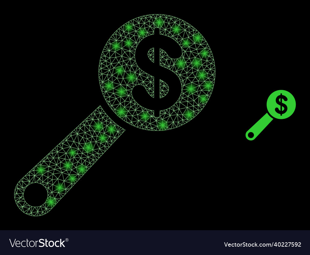 Mesh net financial audit with light wire vector image Mesh net financial audit with light wire