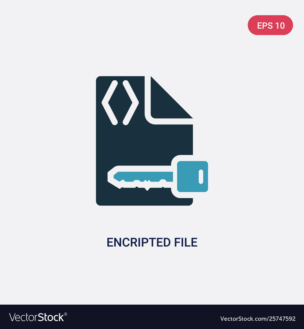 Two color encripted file icon from programming
