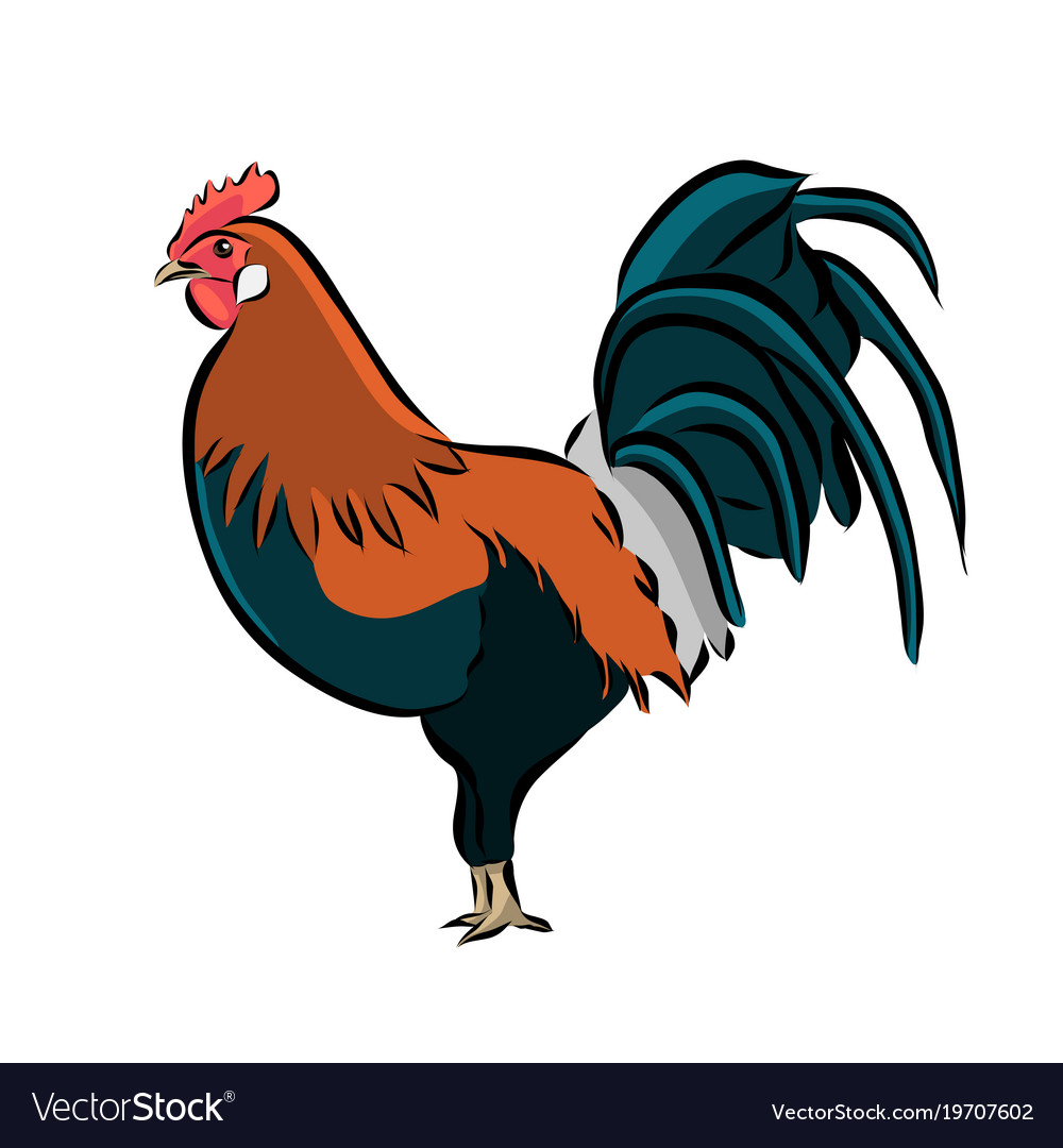 Hand drawn rooster icon