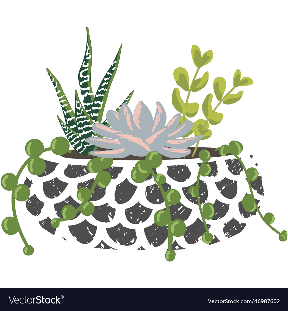 Houseplant succulent flower decor flat icon