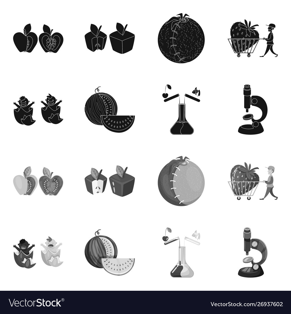 Isolated object test and synthetic sign set vector image Isolated object test and synthetic sign set