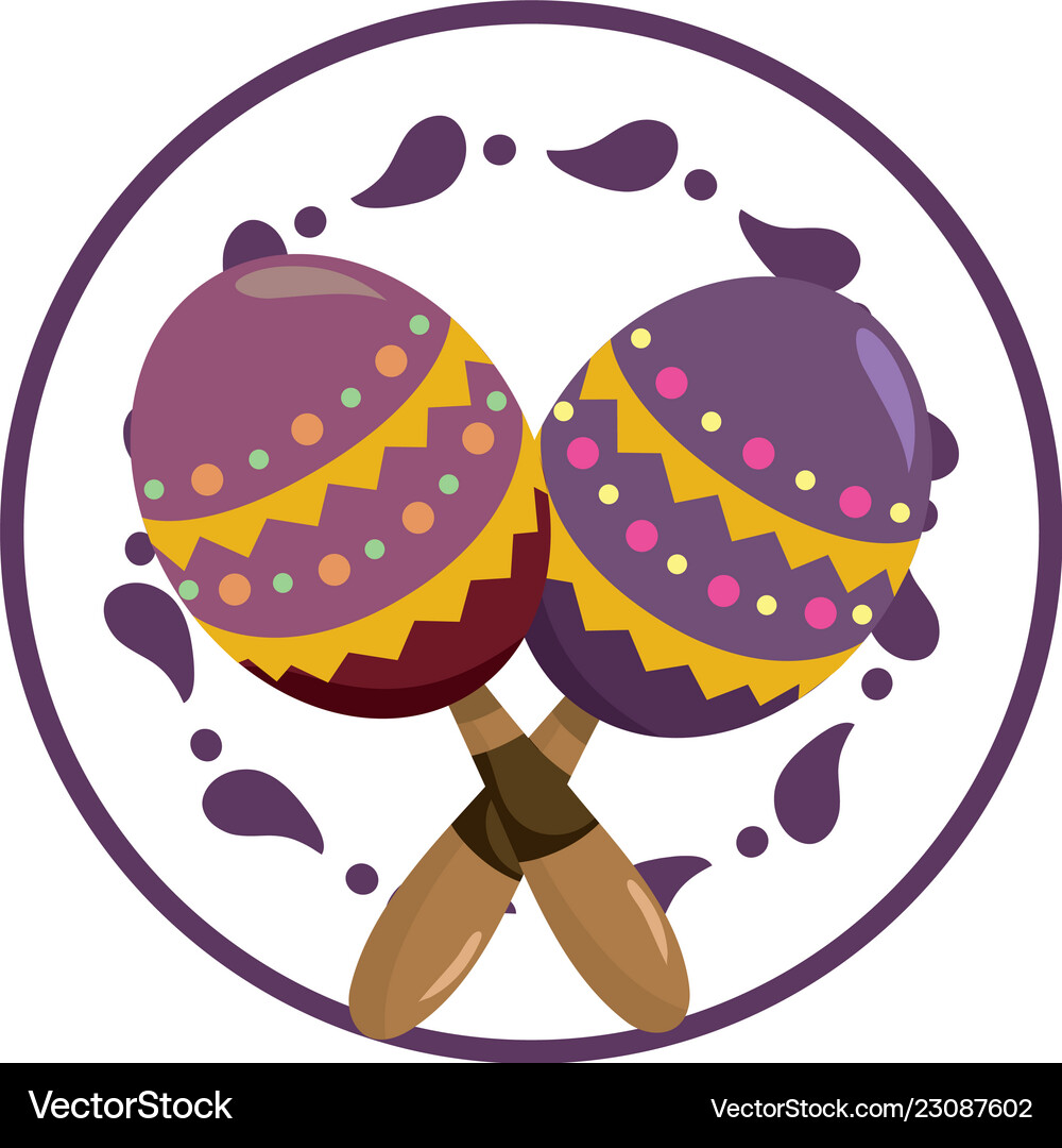 Maracas latin music Royalty Free Vector Image VectorStock