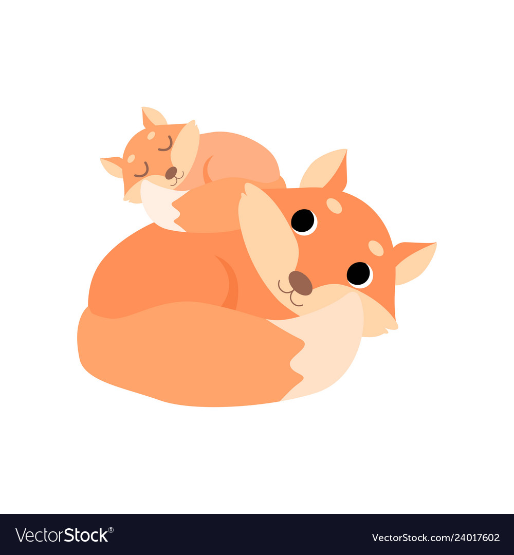 Mother and baby fox cute forest animal family