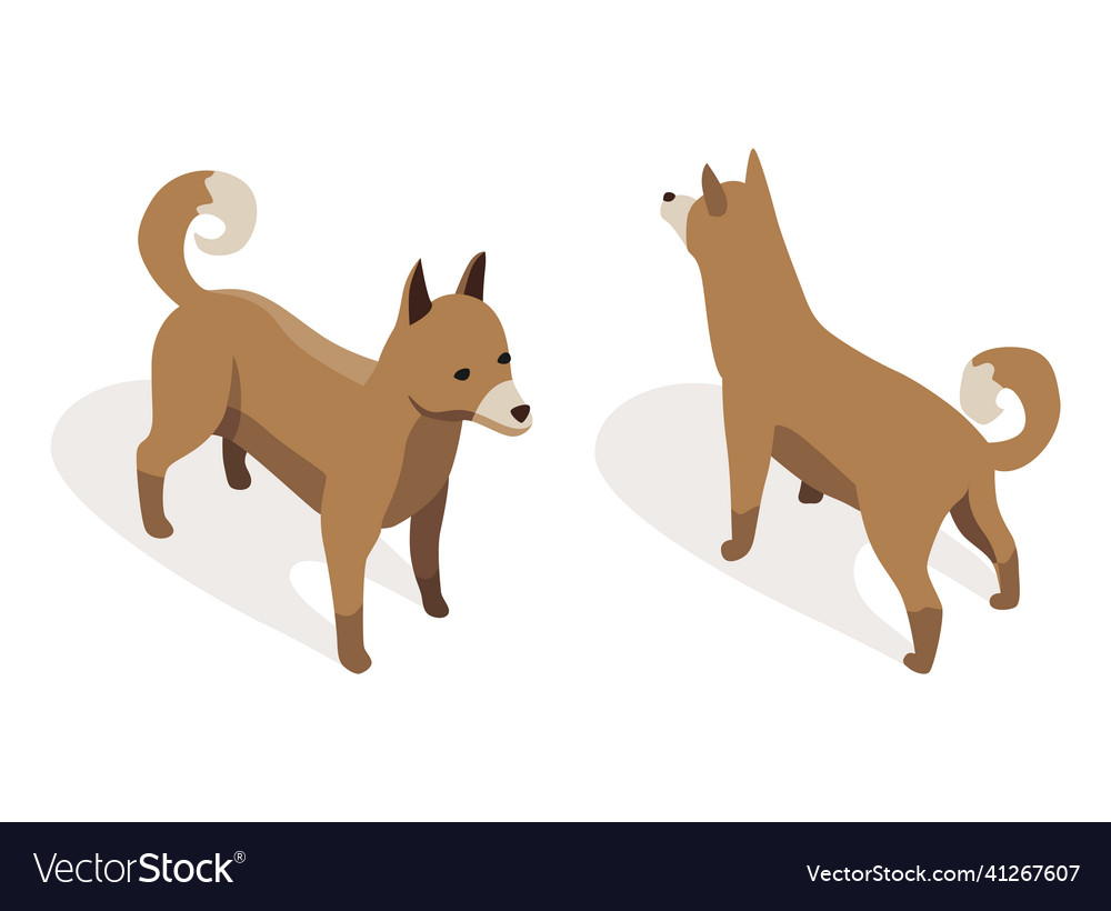 Farm animal isometric domestic in 3d flat vector image Farm animal isometric domestic in 3d flat