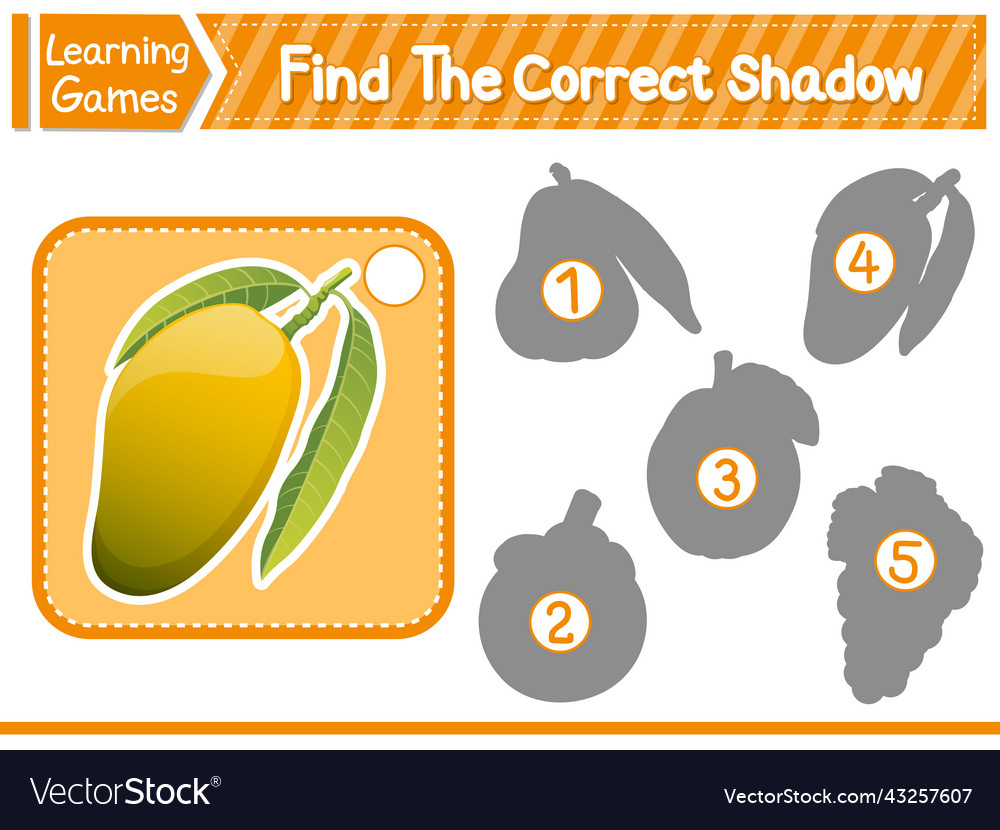 Find the correct shadow and match Royalty Free Vector Image