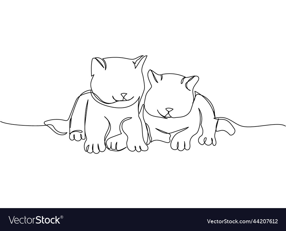 Birman cat kittens one line art continuous