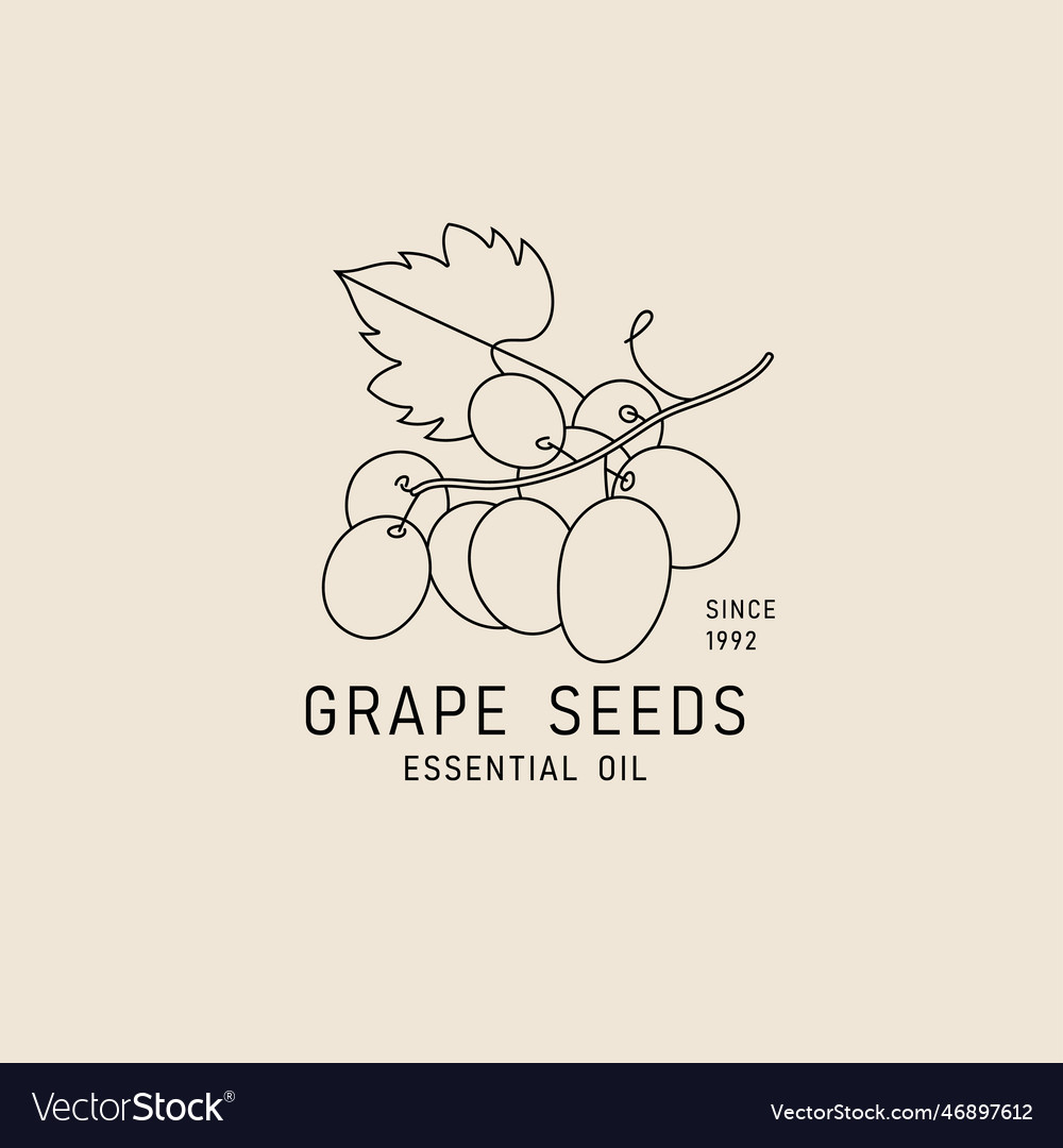 Packaging design element and icon in linear style vector image Packaging design element and icon in linear style