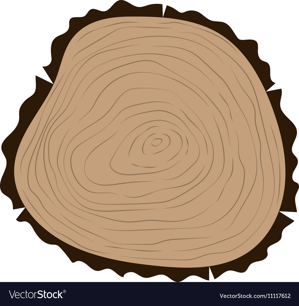 Tree slice isolated