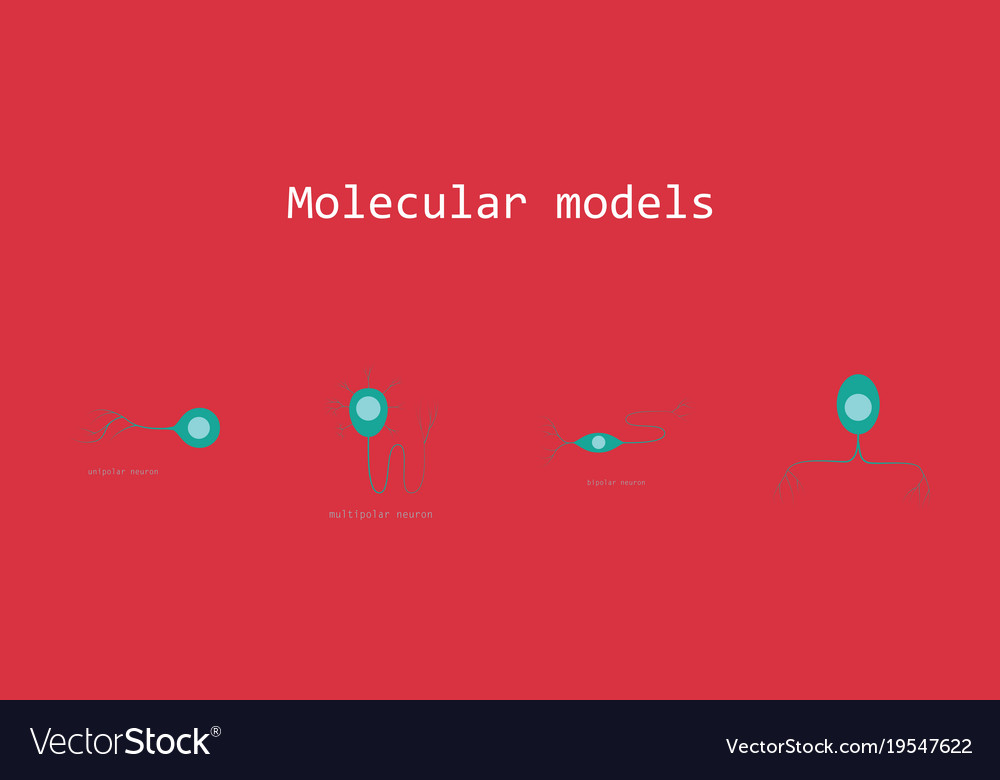 Set of structure a motor neuron
