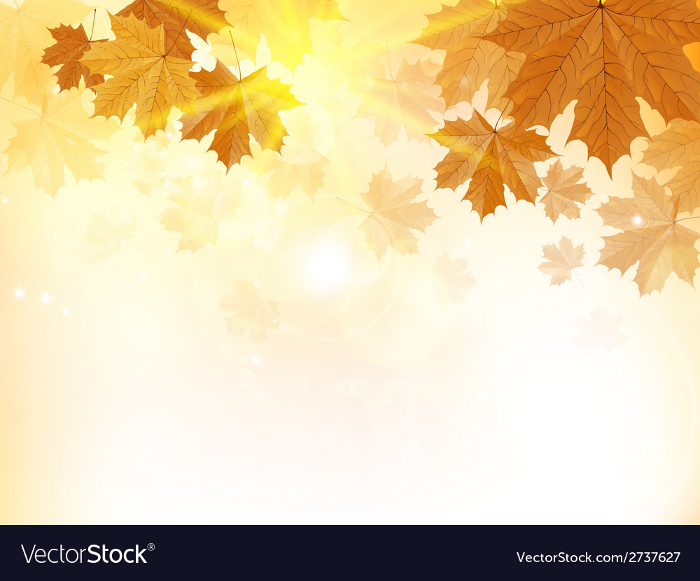 Autumn Leaf Background