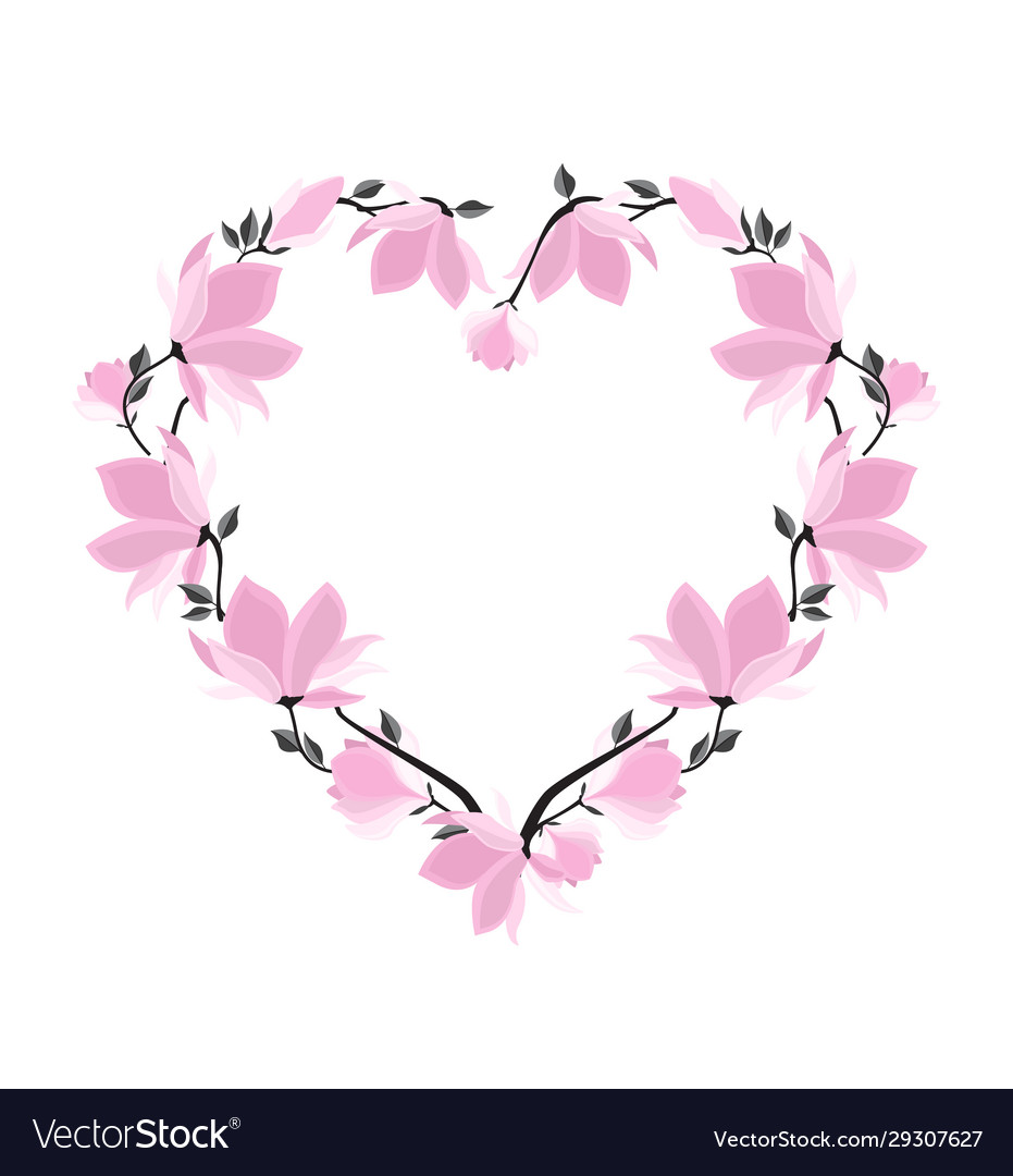 Magnolia flowers Royalty Free Vector Image - VectorStock