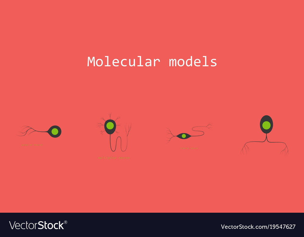 Set of structure a motor neuron