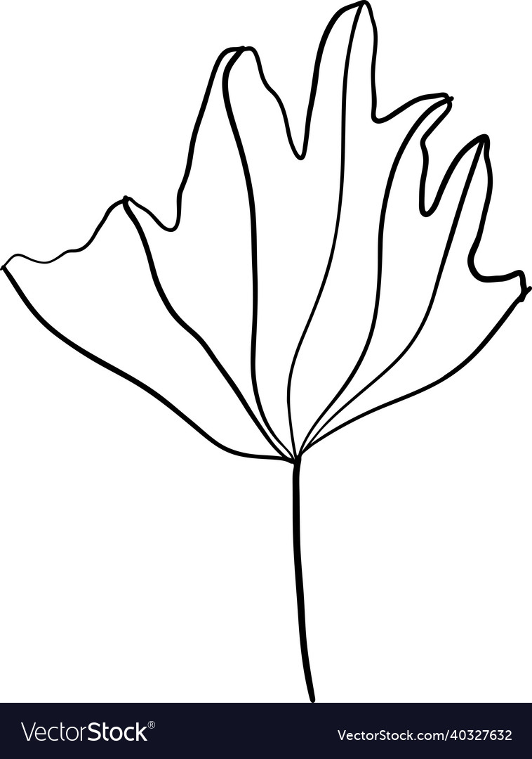 Abstract doodle single floral element vector image Abstract doodle single floral element