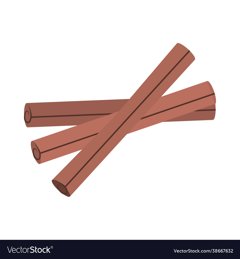 Cinnamon sticks aroma Royalty Free Vector Image