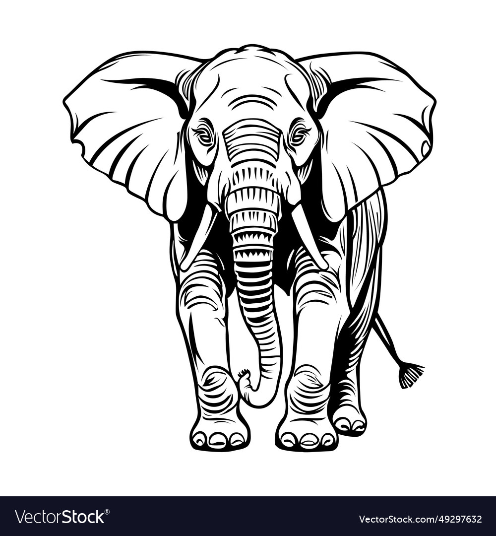 Elephant outline drawing using a format