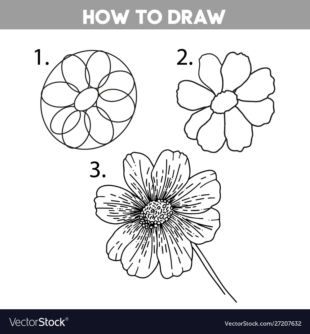 flower step by step