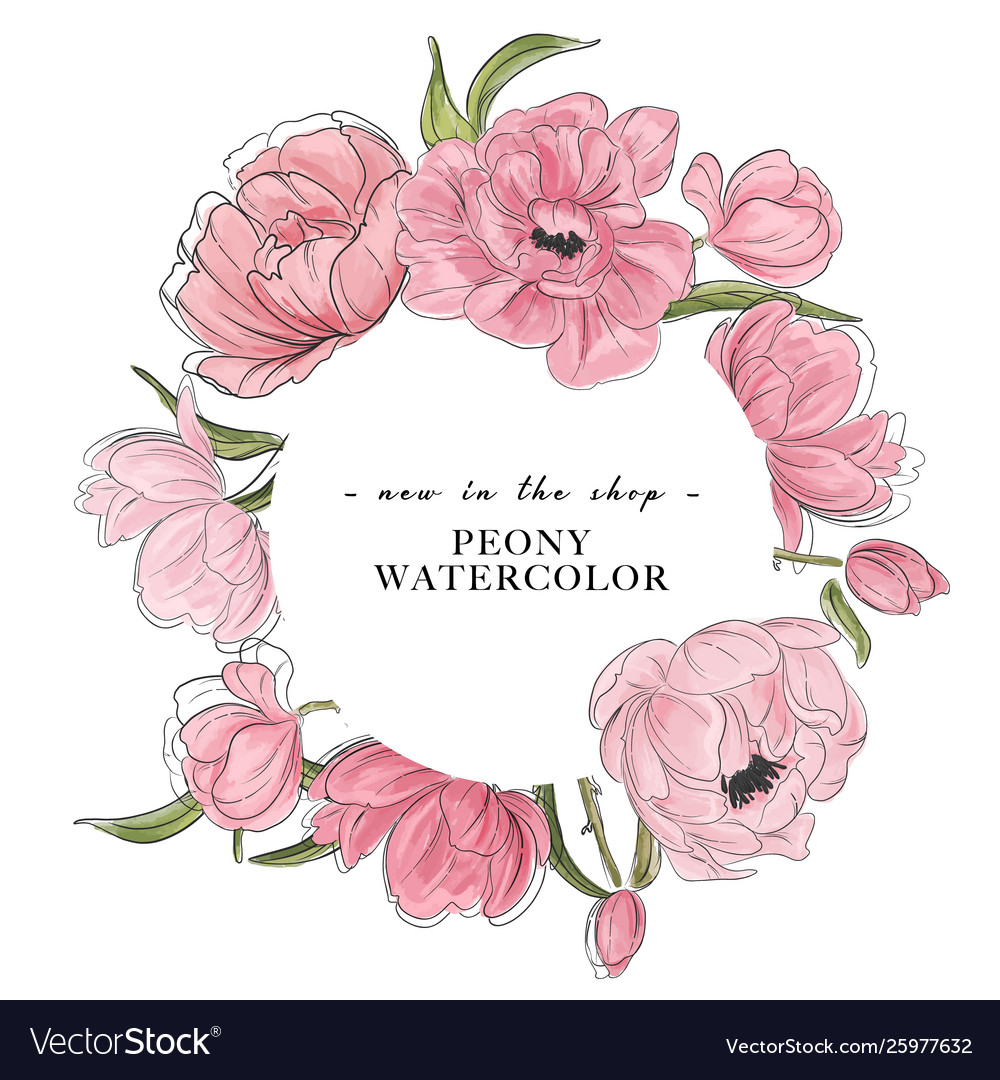 Watercolor flower peony hand-drawn elements vector image Watercolor flower peony hand-drawn elements