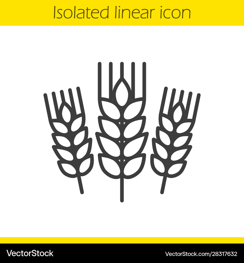 Wheat ears linear icon Royalty Free Vector Image