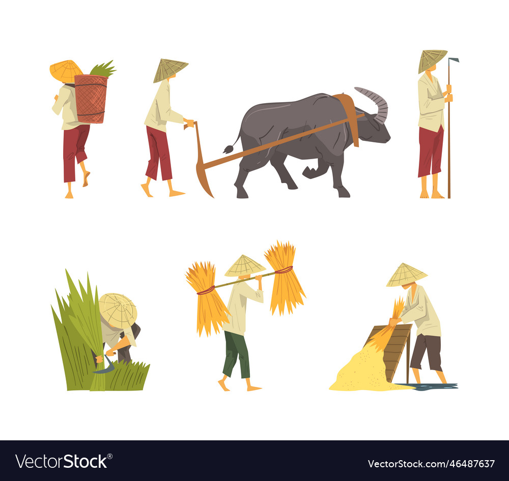 Asian farmers working on field set peasants Vector Image