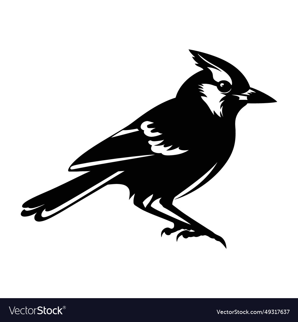 Black silhouette of a blue jay Royalty Free Vector Image