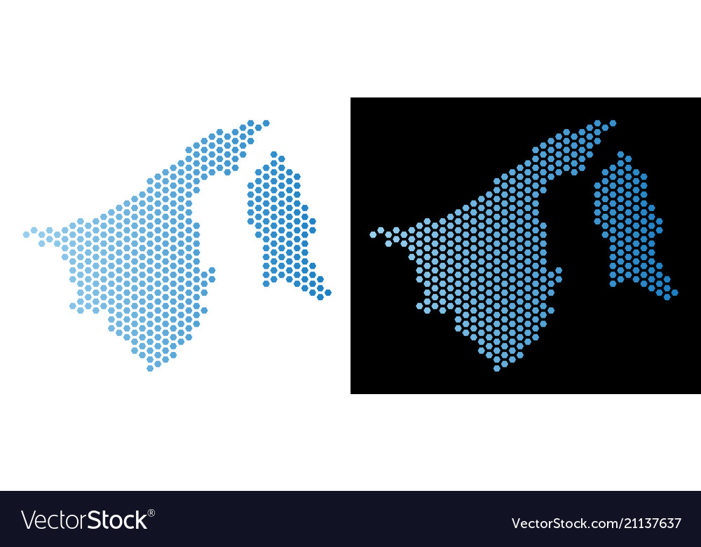 Brunei map hexagonal mosaic vector image Brunei map hexagonal mosaic