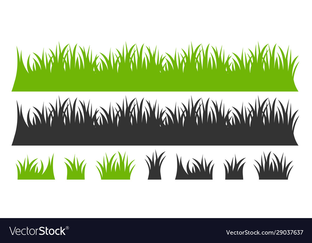 Green lawn grass texture natu