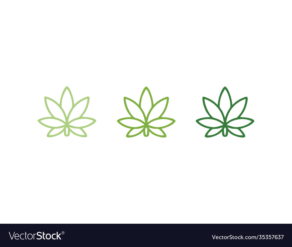 Marijuana leaves idea logo icon symbol