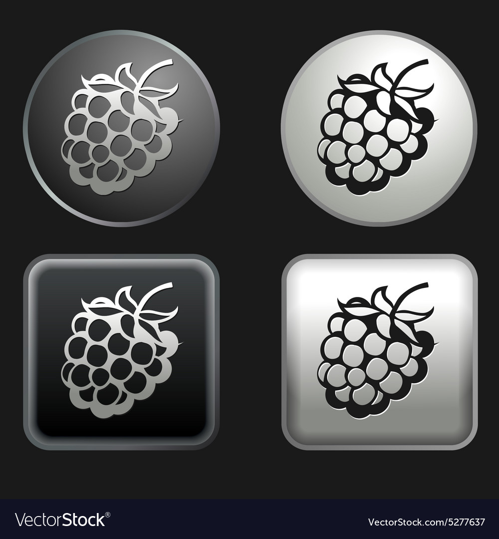 Raspberry Icon Set