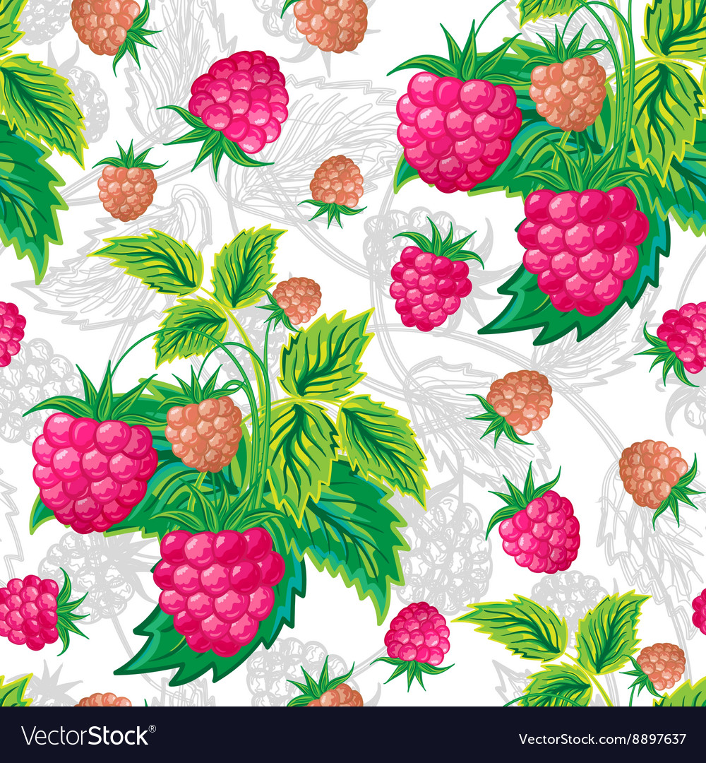 Raspberry Seamless Pattern