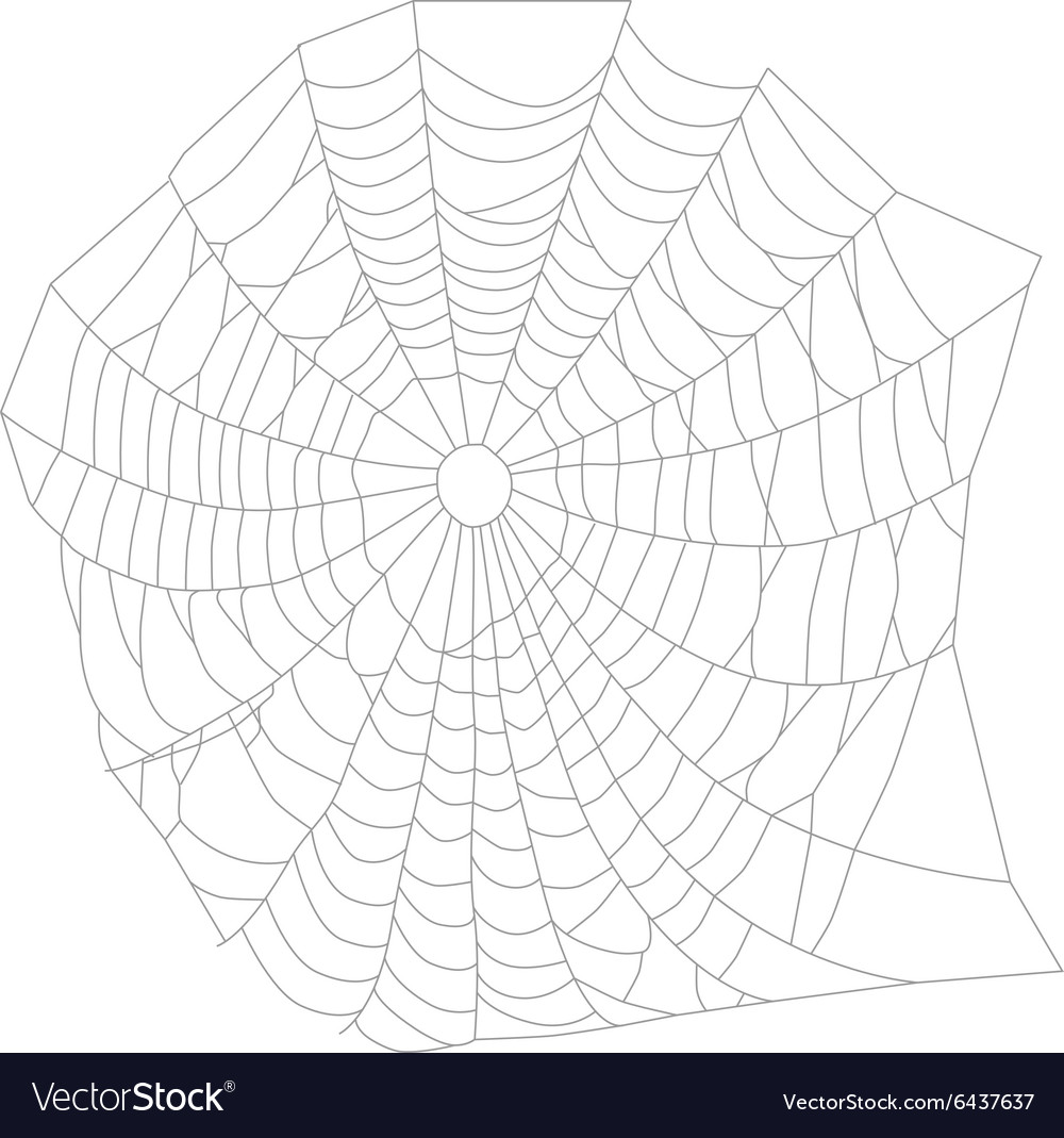 Spider web or net
