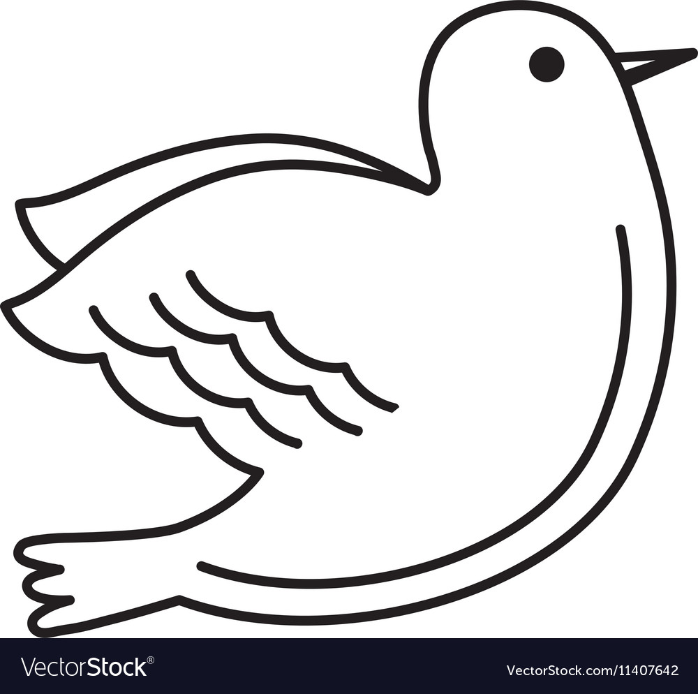 Dove bird isolated icon