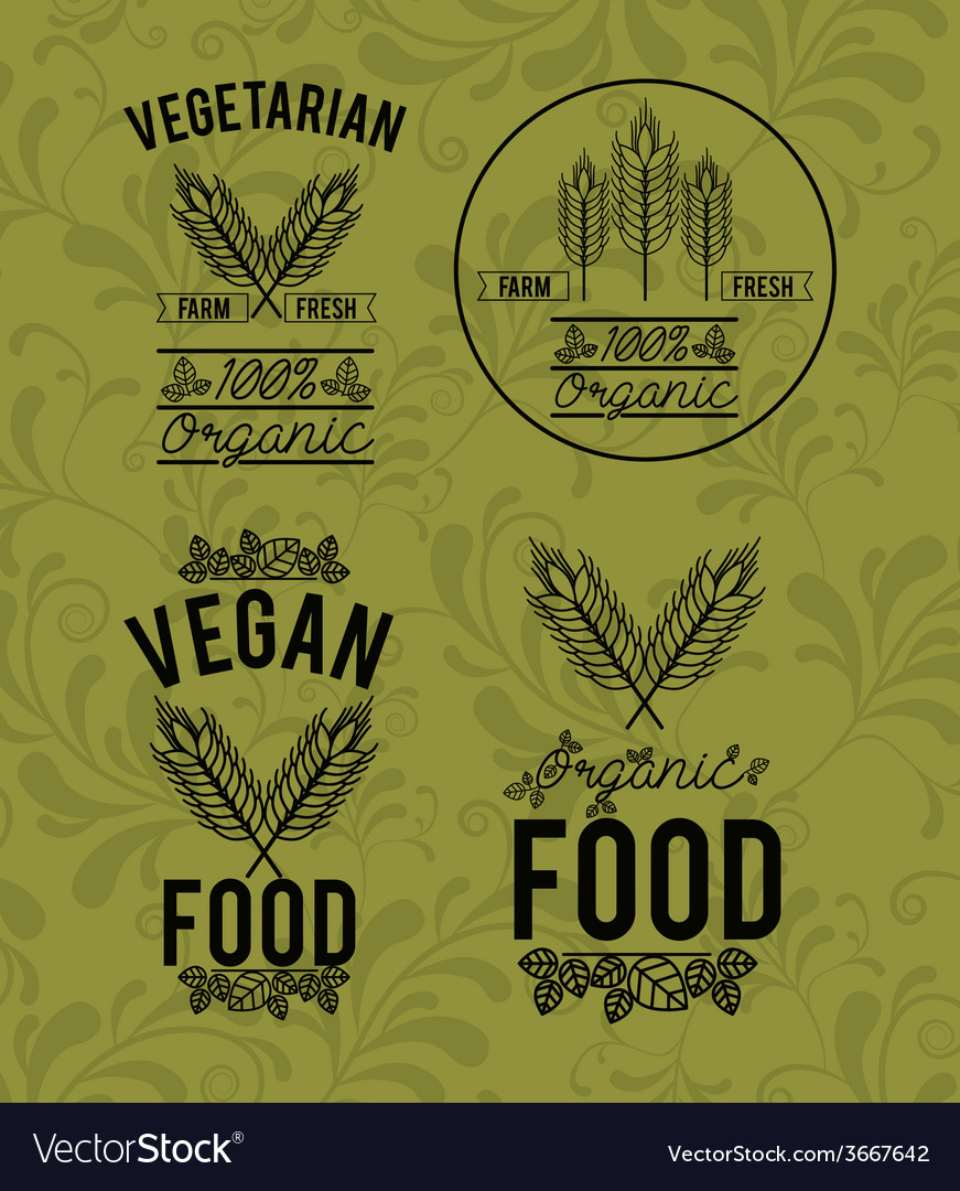 Food design over green background Royalty Free Vector Image