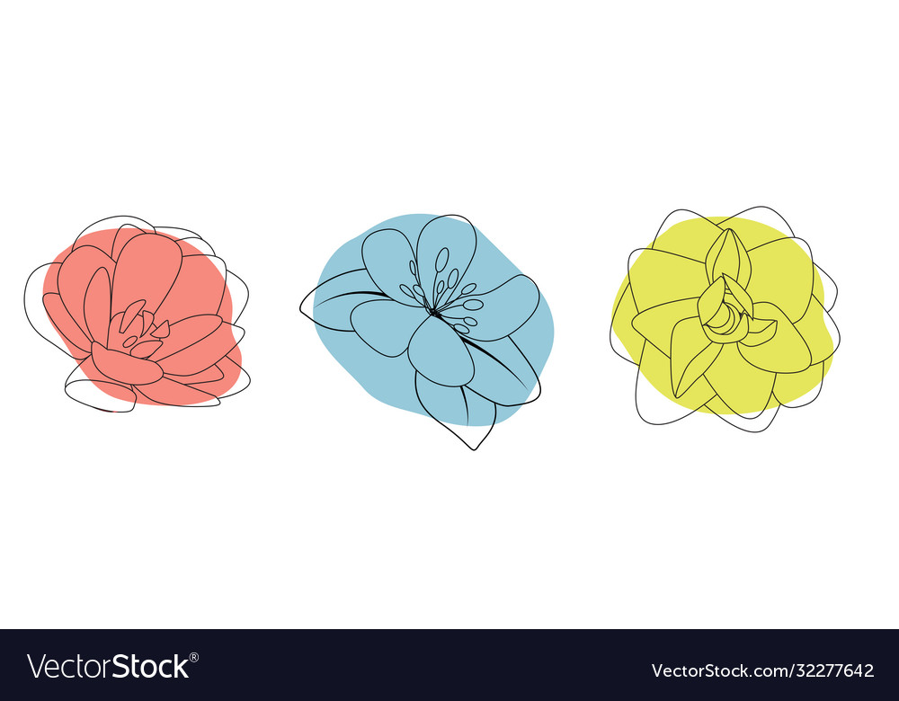 Hand drawn flower isolated on white