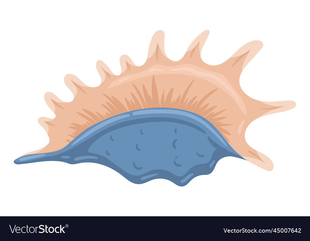 Tropical Seashell Cartoon