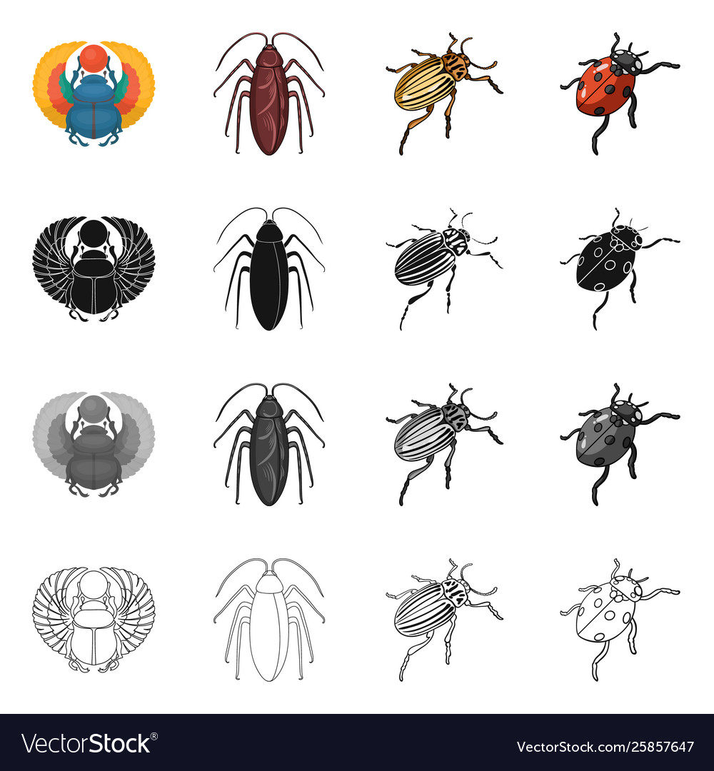 Isolated object insect and beetle symbol set