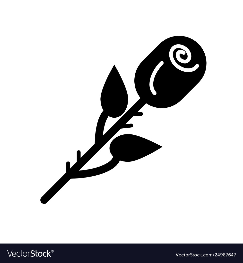 One rose icon on white background