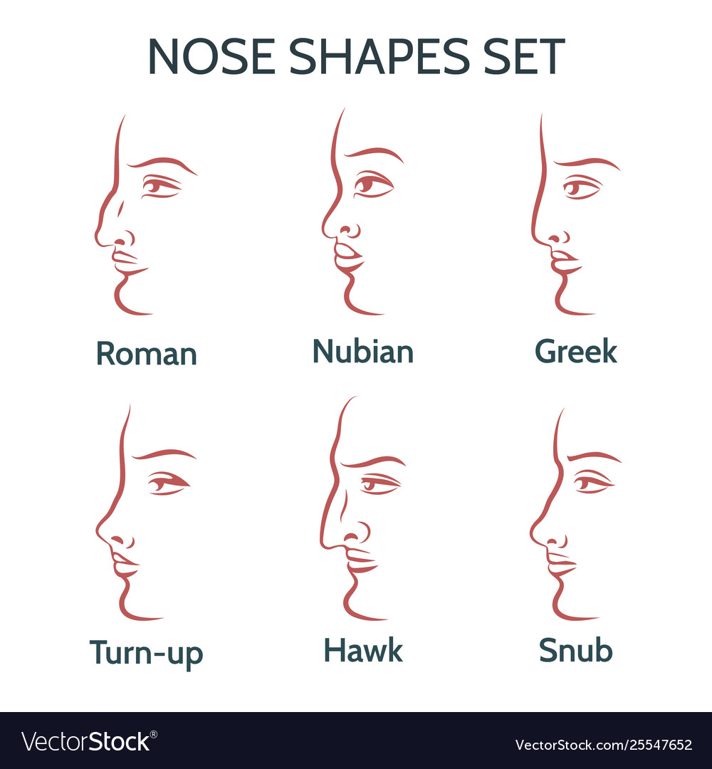 different nose shapes men