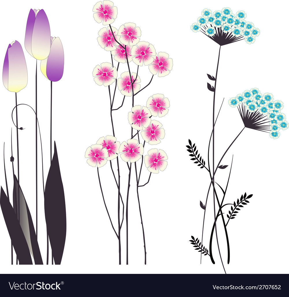 Drawing blooming flowers Royalty Free Vector Image