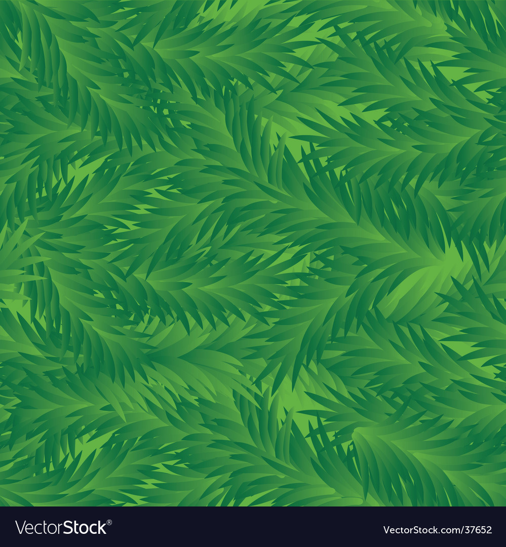 Fir tree seamless pattern