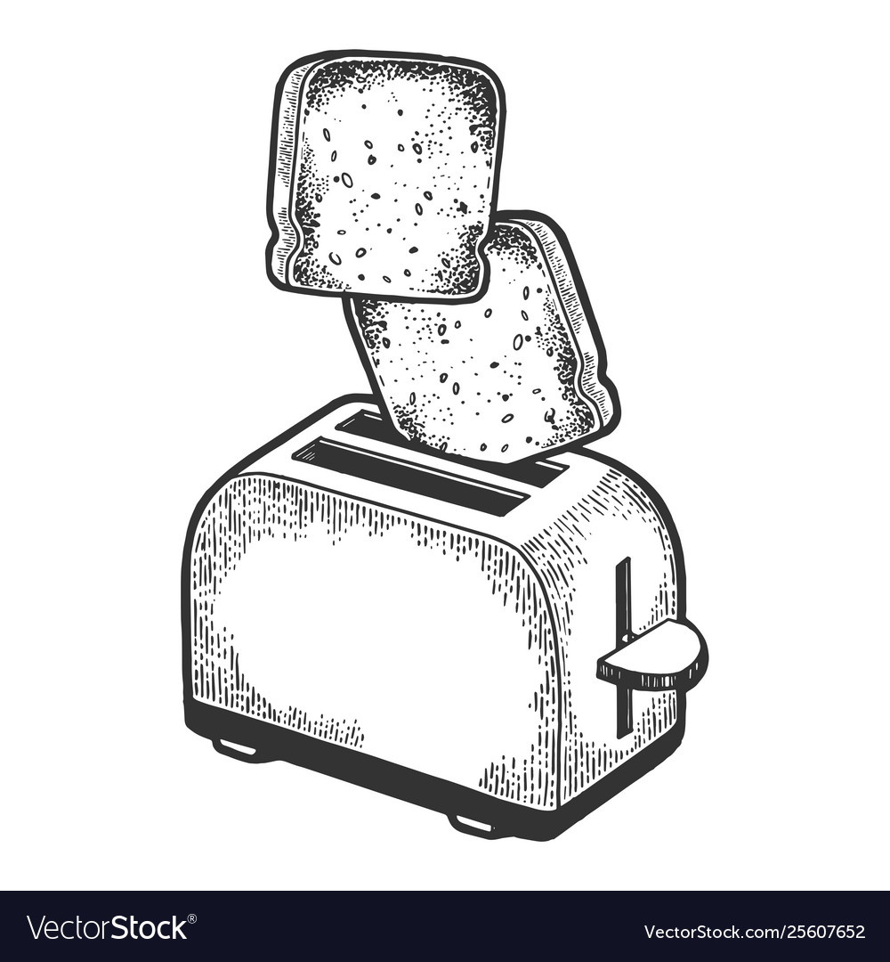 Toaster Flying Out Toast Sketch Engraving Vector Image