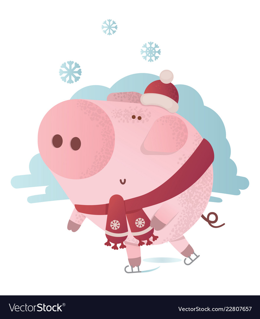 Cute pig skates in a winter scarf