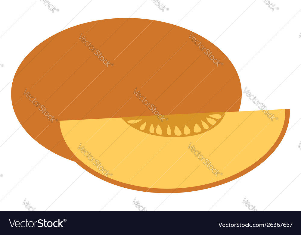 Piece melon on white background