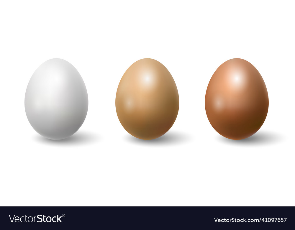 Three realistic eggs design element
